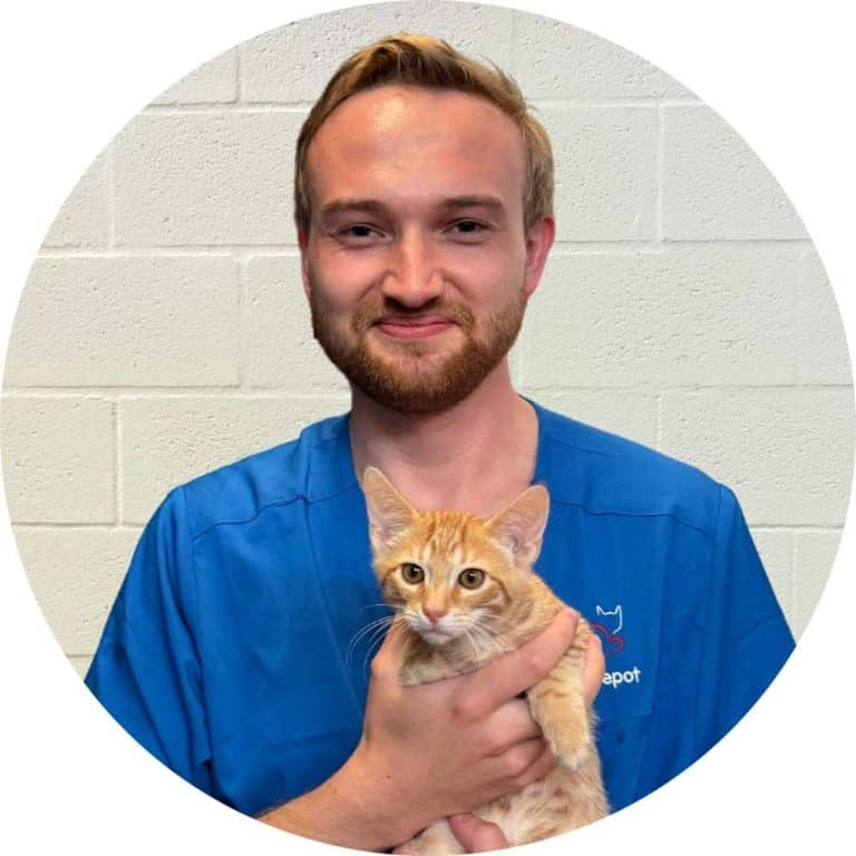 Brandon Parker - Cat Caregiver