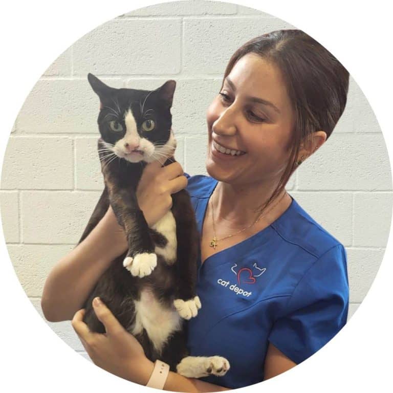 Brittany Caramico, DVM - Veterinarian