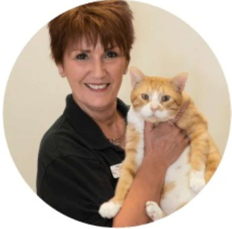 Kim Bull - Adoption Counselor