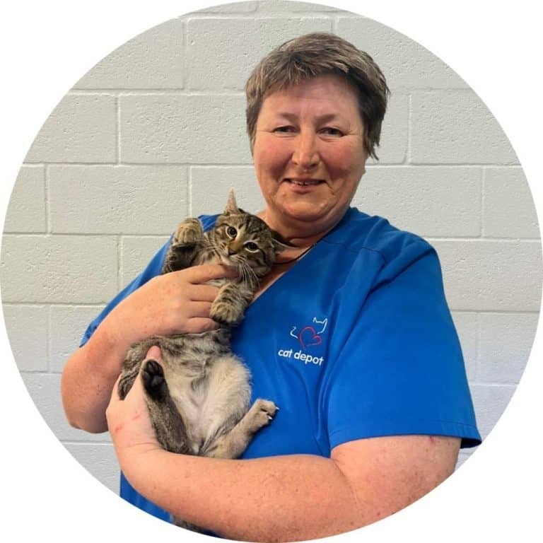 Lavinia Tulcan, DVM - Veterinarian