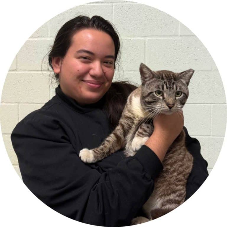 Madeline Fields - Cat Caregiver
