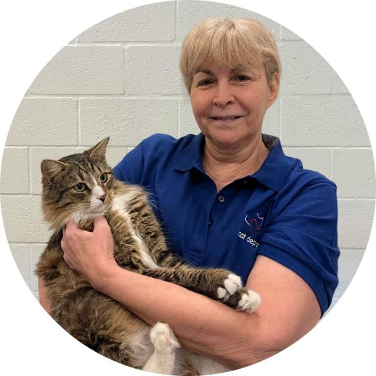 Pam Matera - Cat Caregiver