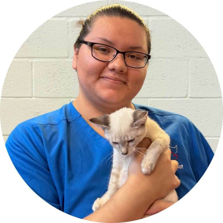 Sadie Carmona - Cat Caregiver