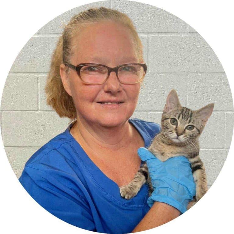 Sherry McIntyre - Cat Caregiver