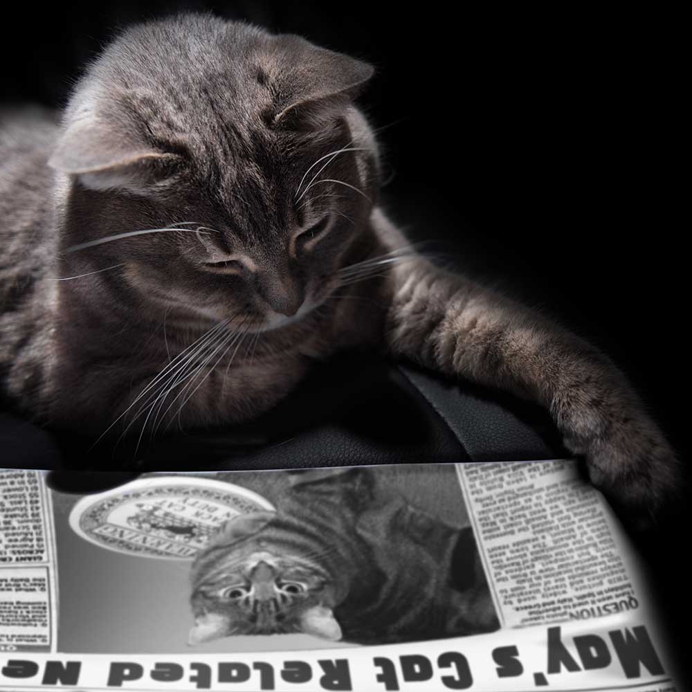 Newsletters