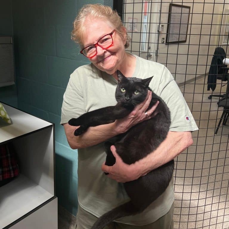 sts-raven-adoption