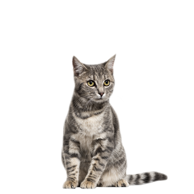 clinic 2