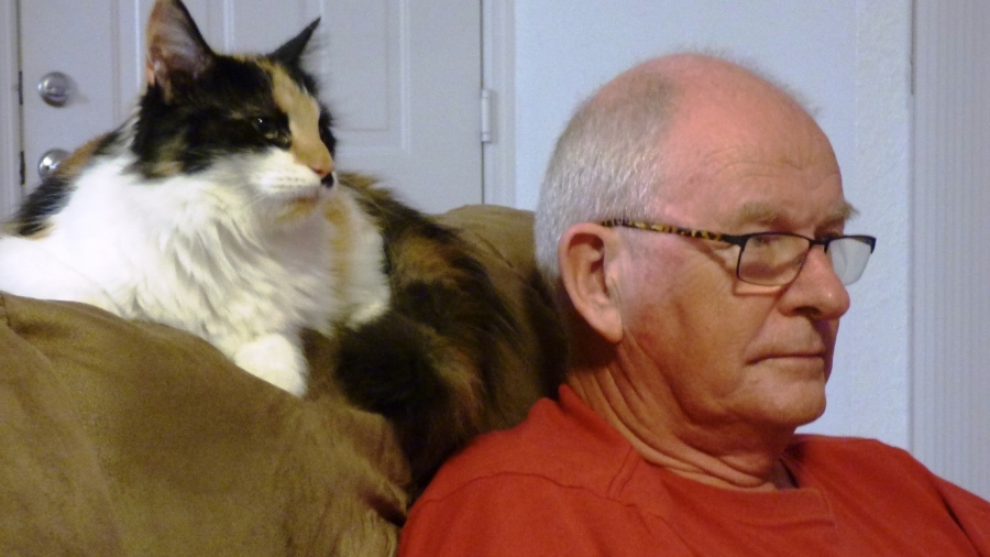 Ian & foster cat