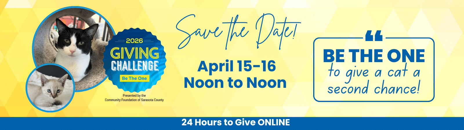 Cat Depot Giving Challenge 2026