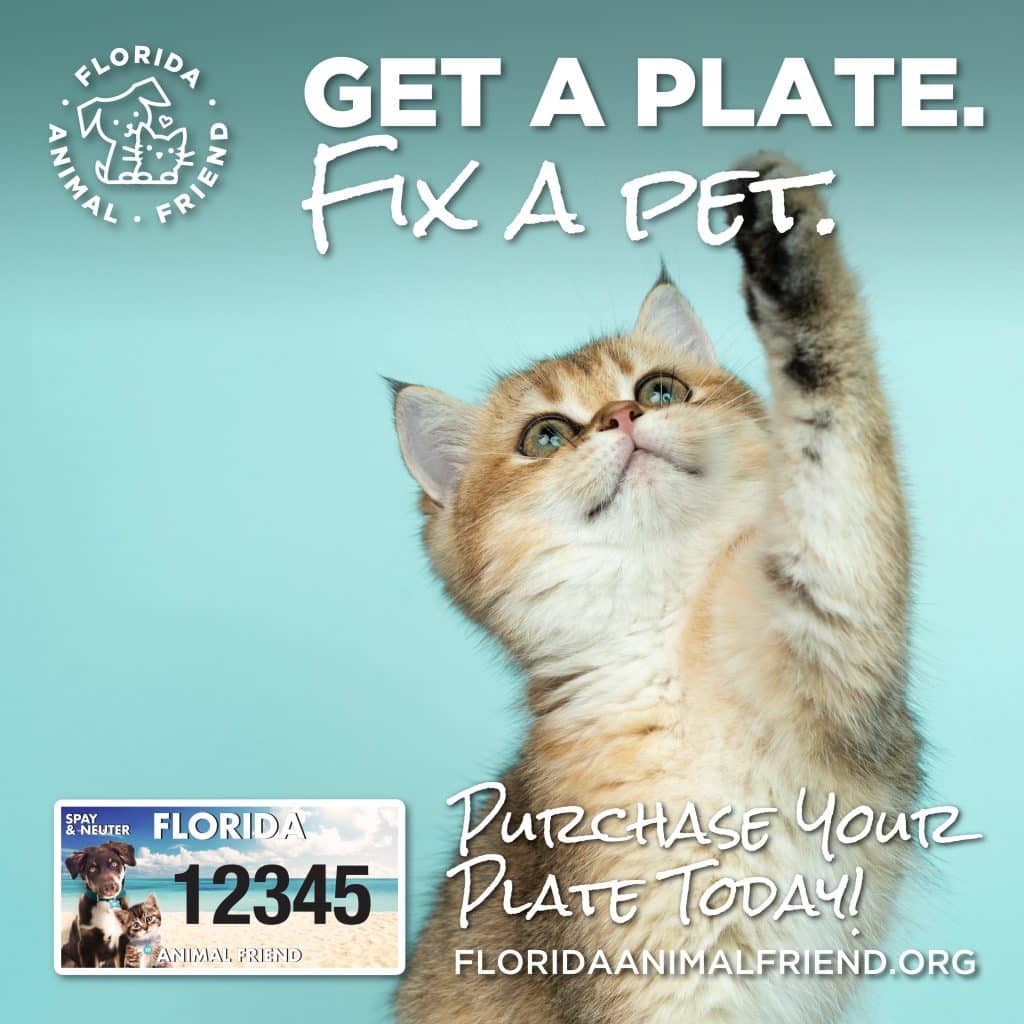 Florida Animal Friend License Plate