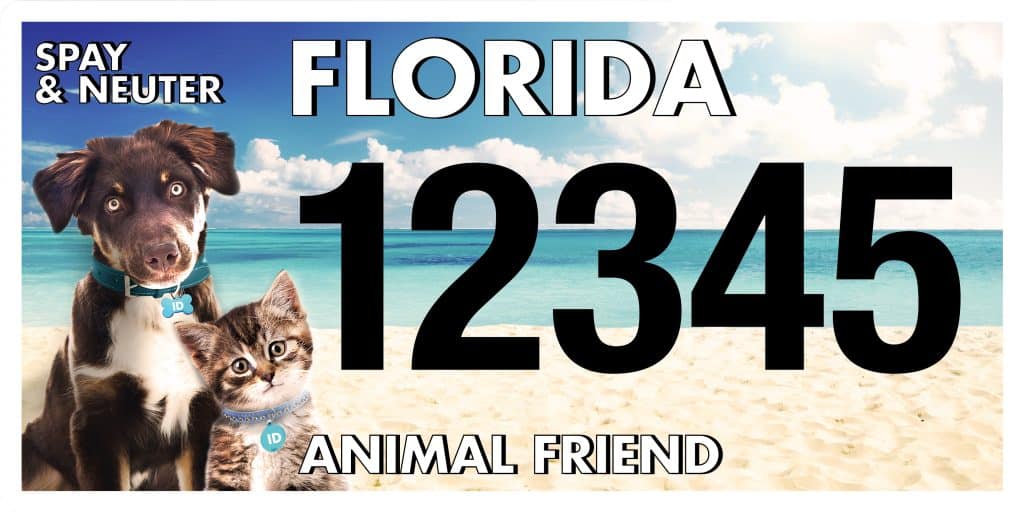 Florida Animal Friend license plate