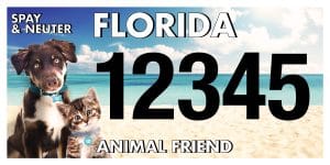 Florida Animal Friend license plate