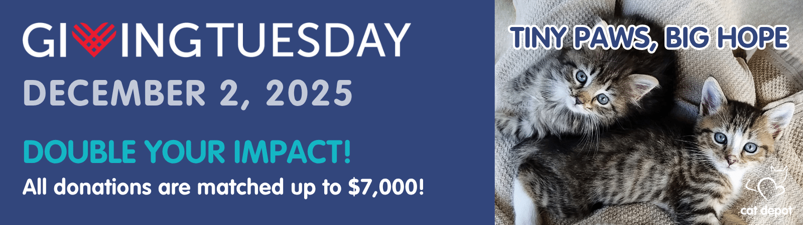 Giving Tuesday 2025 - Cat Depot