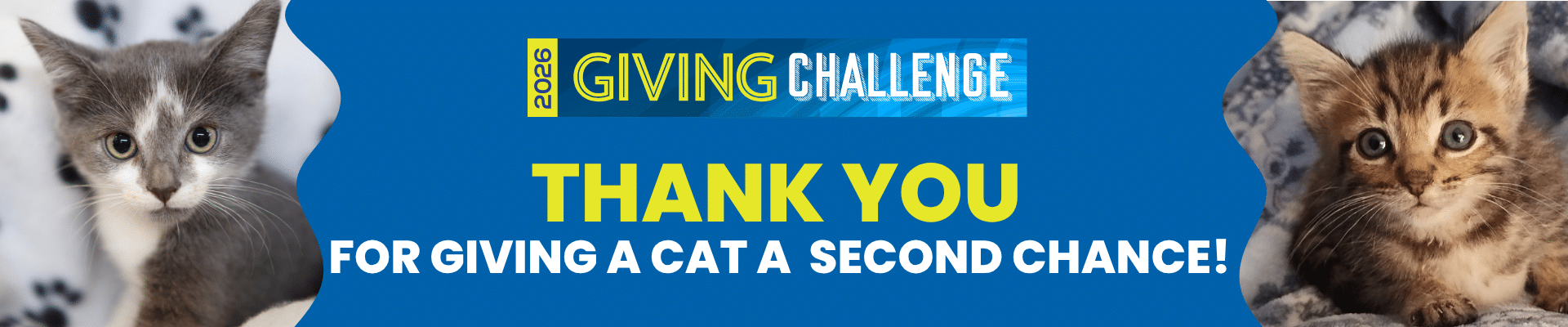 Giving challenge web HeaderTO GIVE A CAT A SECOND CHANCE! (2)