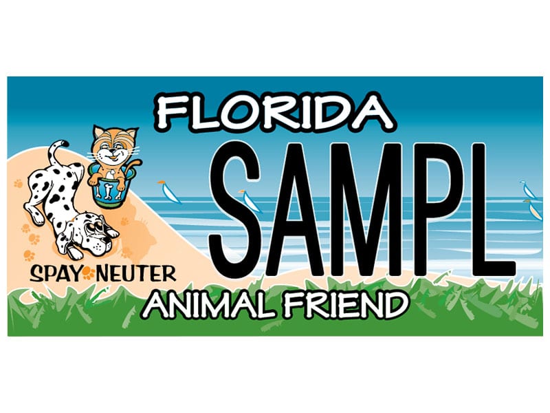 Florida Animal Friends