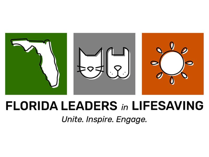 Florida Leaders in Lifesaving