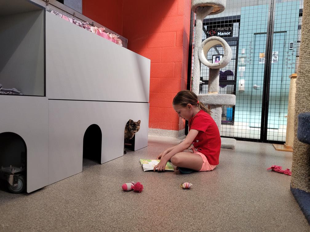 reading-to-rescues-kittens