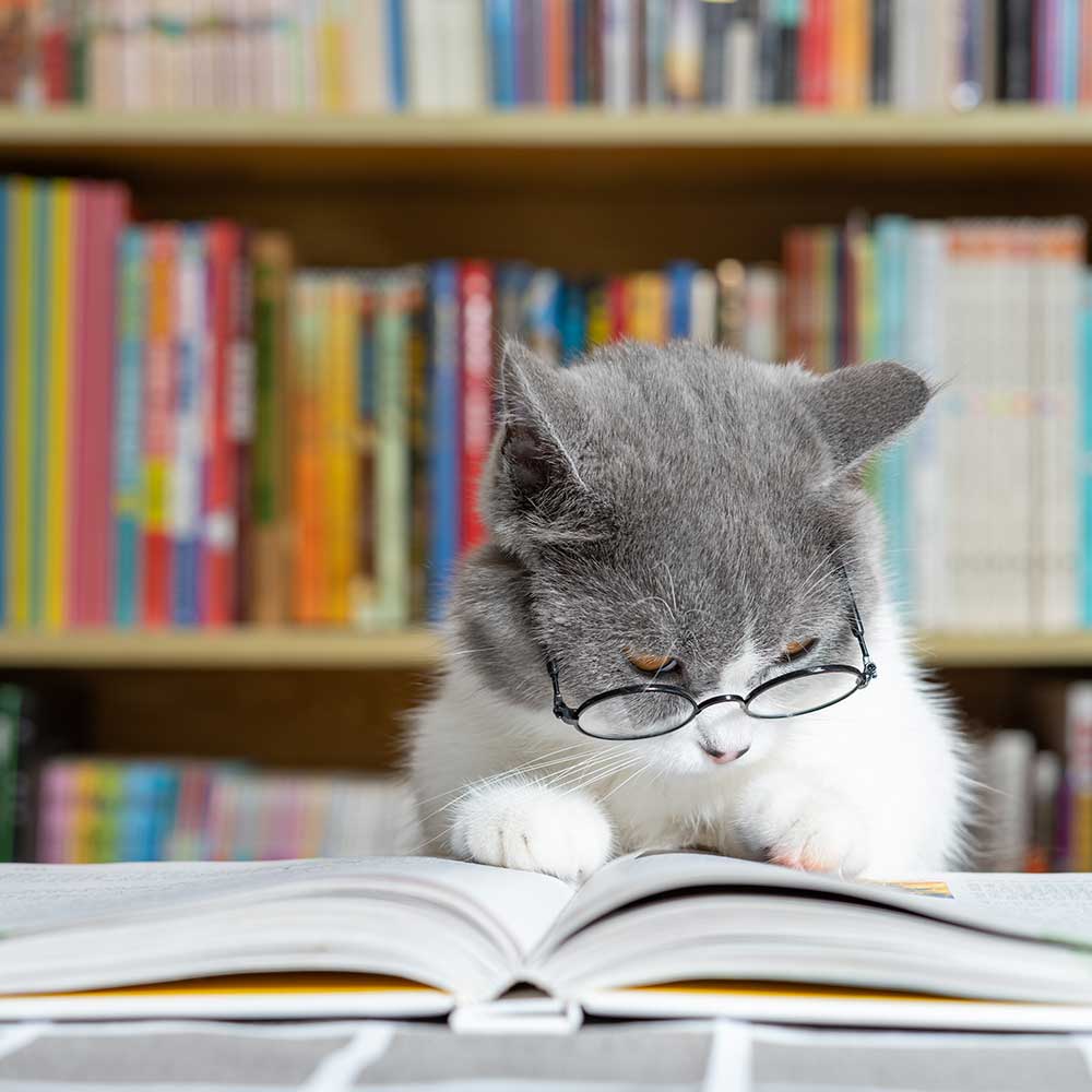 Educational Resources