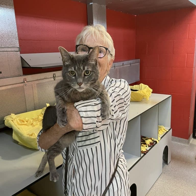 sts-pliskin-adoption-1