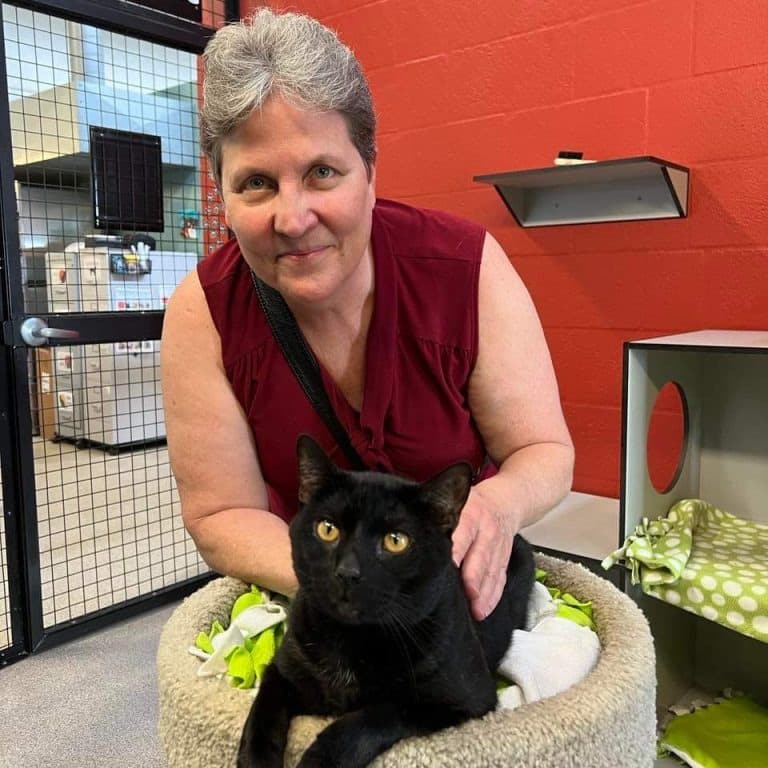 sts-shadow-adoption-2