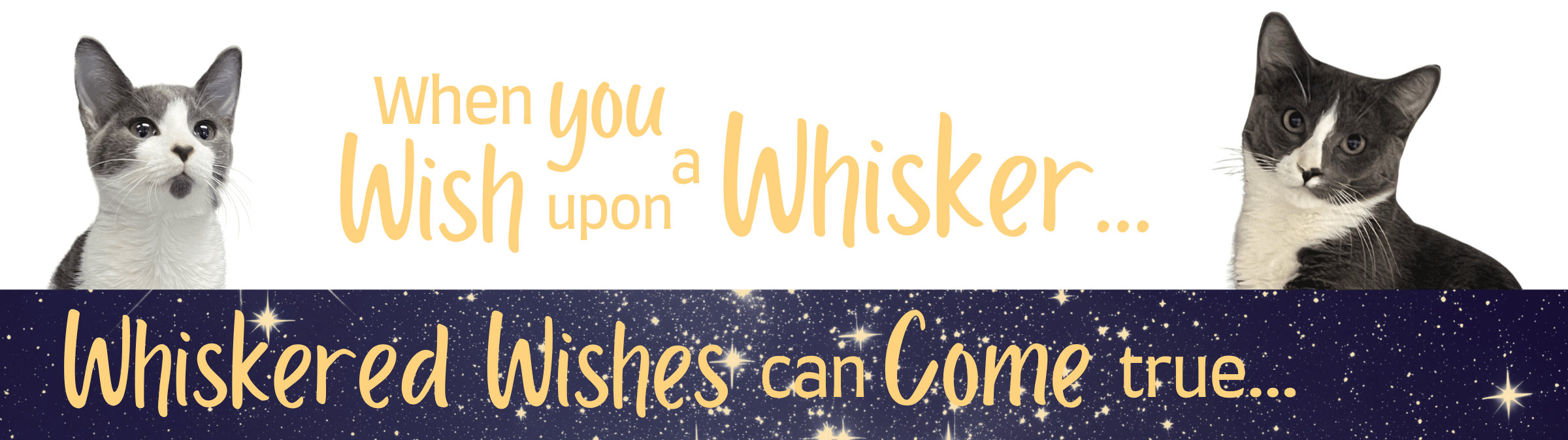 Cat Depot Whiskered Wishes